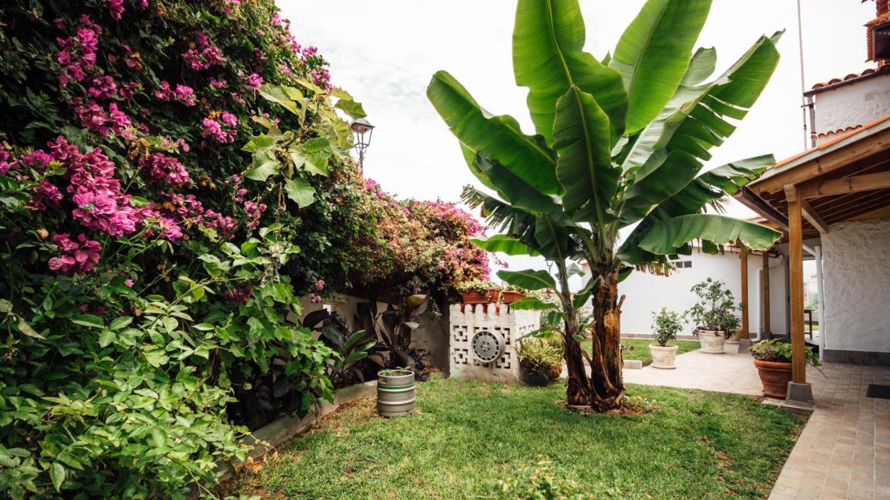 Dom wakacyjny Casa Tulipanes &